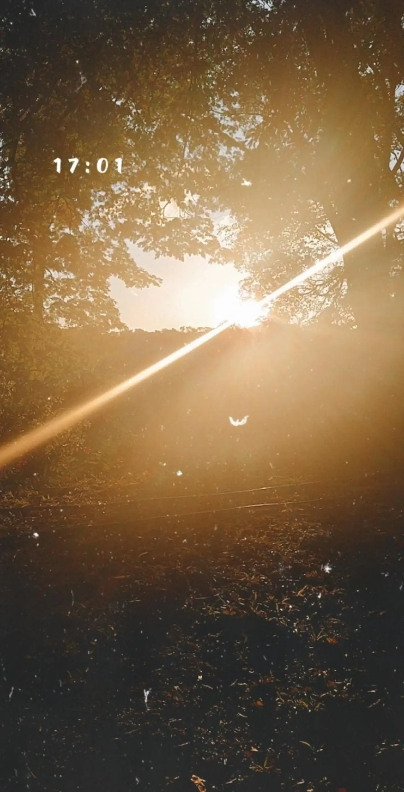 21d6e4b7-74d4-4fce-afc9-4dfa4aa470f5