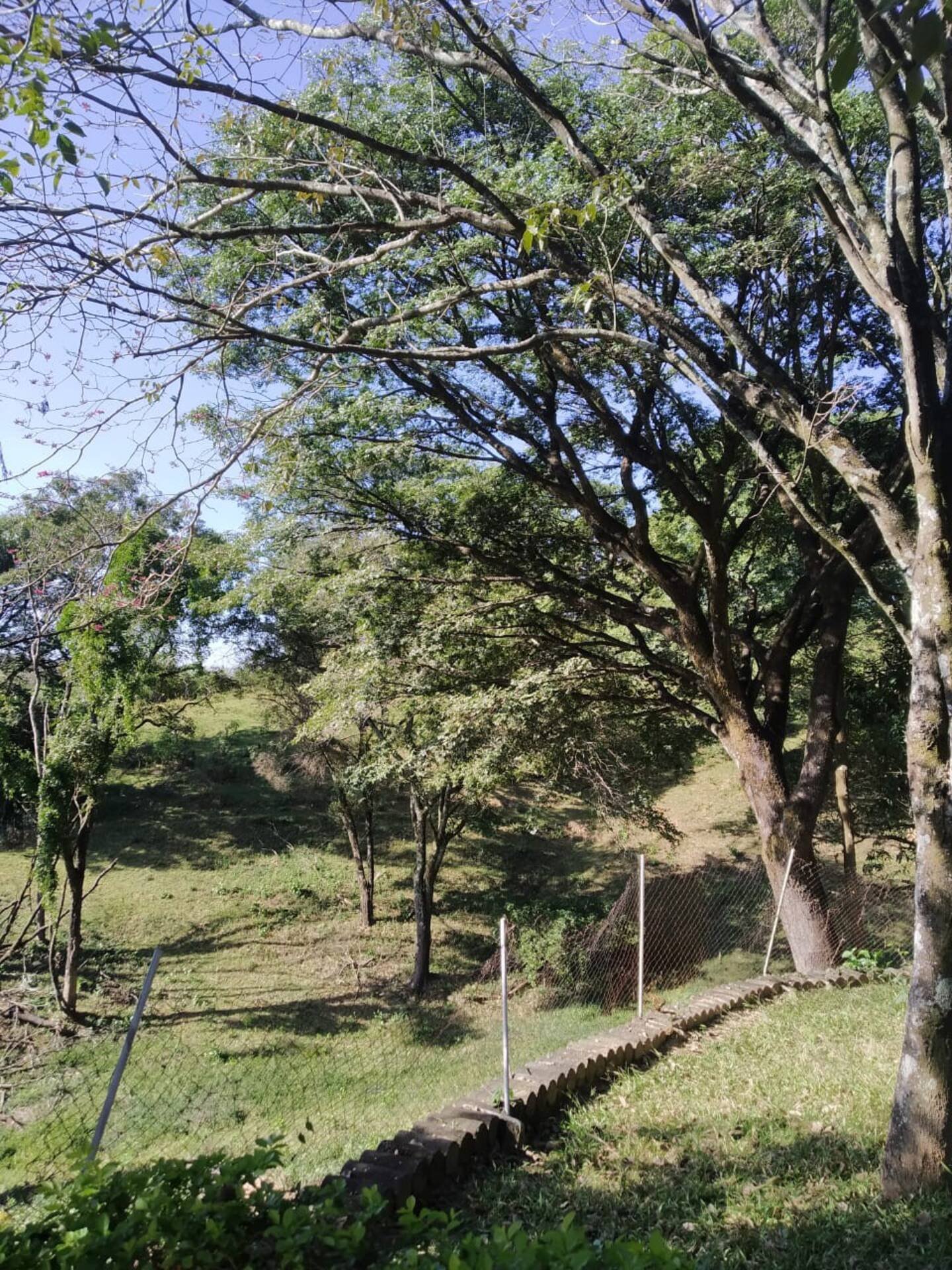 24eb5ca1-ddd4-4c85-a27a-d926c6cdf3df