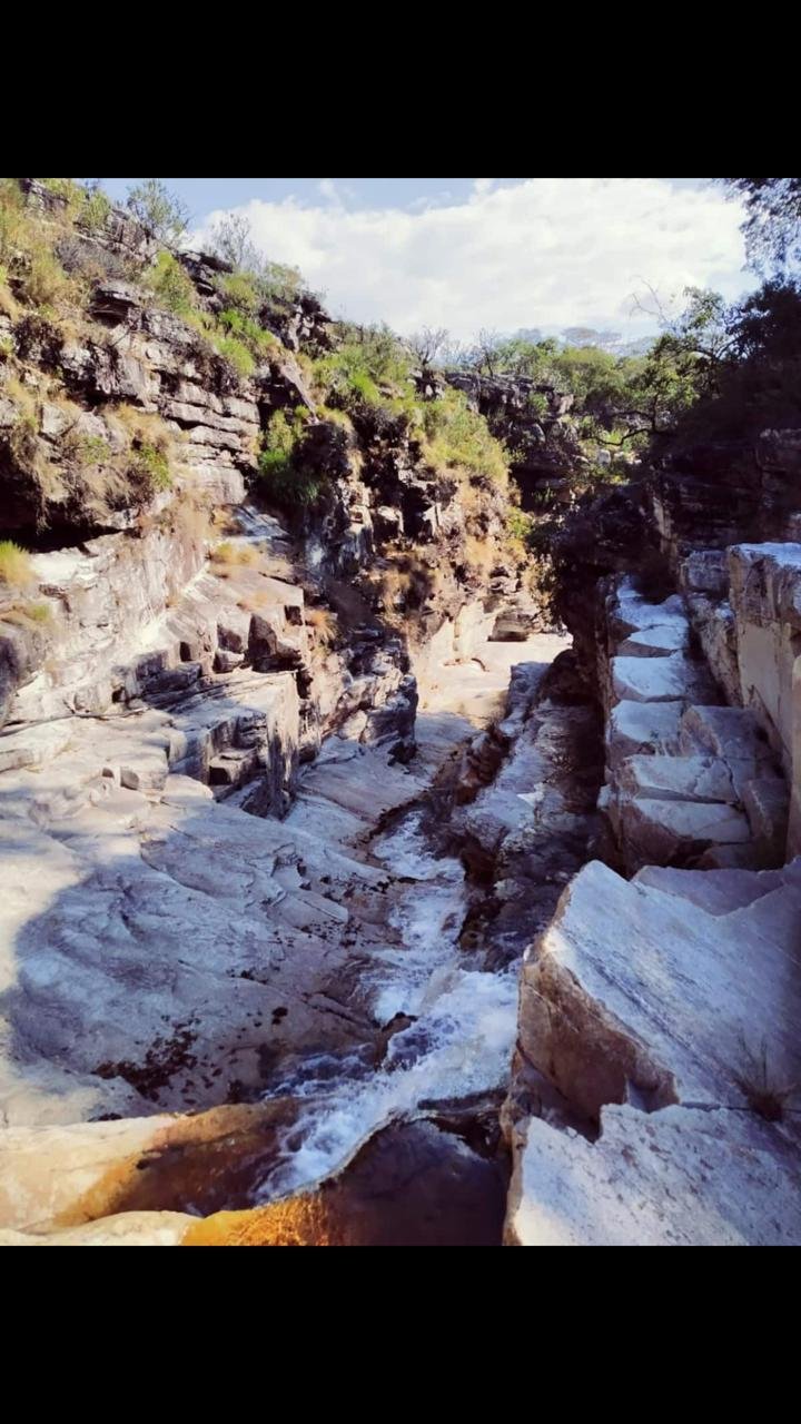 WhatsApp Image 2021-03-24 at 16.31.30