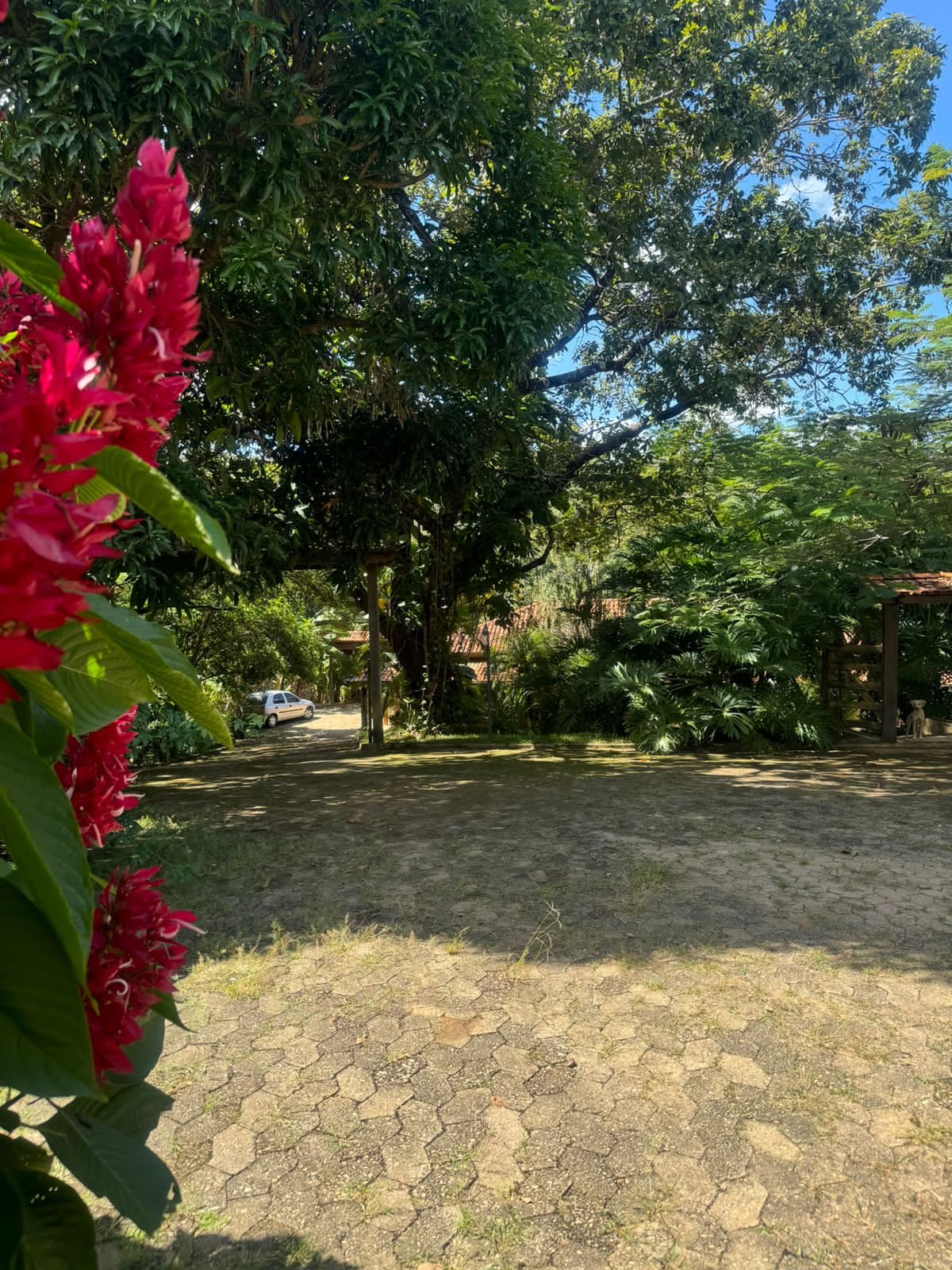 WhatsApp Image 2024-07-22 at 14.21.09