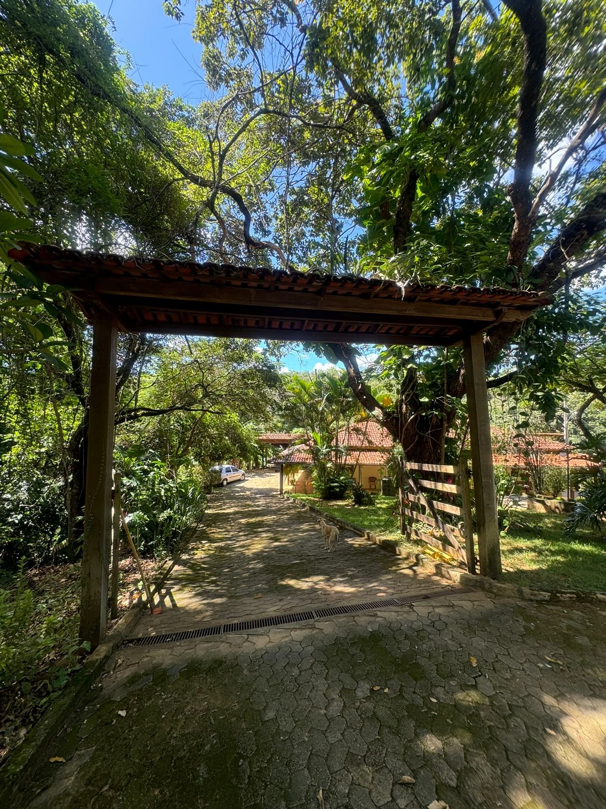 WhatsApp Image 2024-07-22 at 14.21.10 (1)