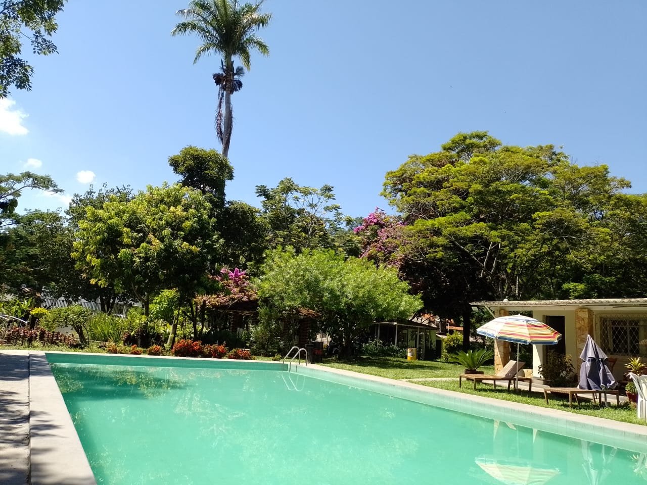 04d3a596-78b7-4233-b778-6bd5774a549a