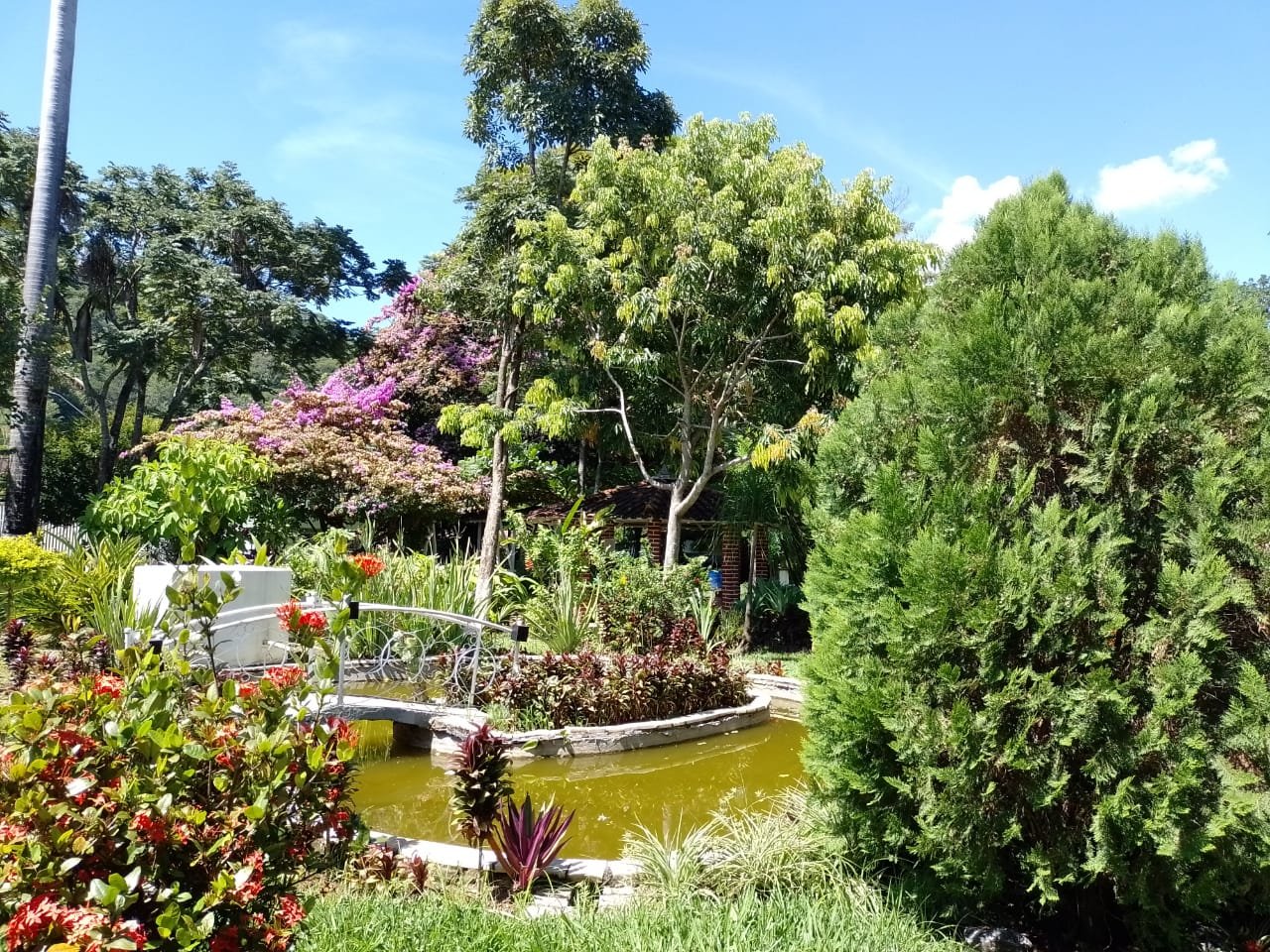 0e72e701-c9d8-4b42-8c8a-250eb2141e7a