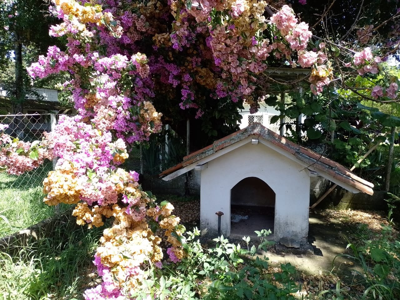 1d4f1d6f-8fcb-4127-a00b-13a0de369637