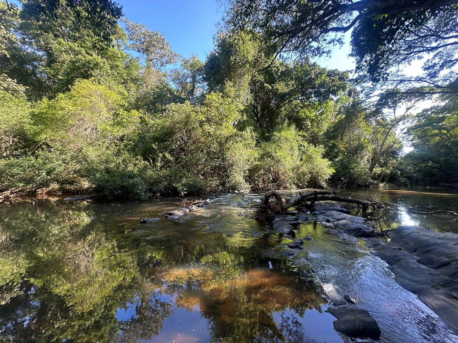 2c26f661-a6bb-4a55-9ae5-13c525579374