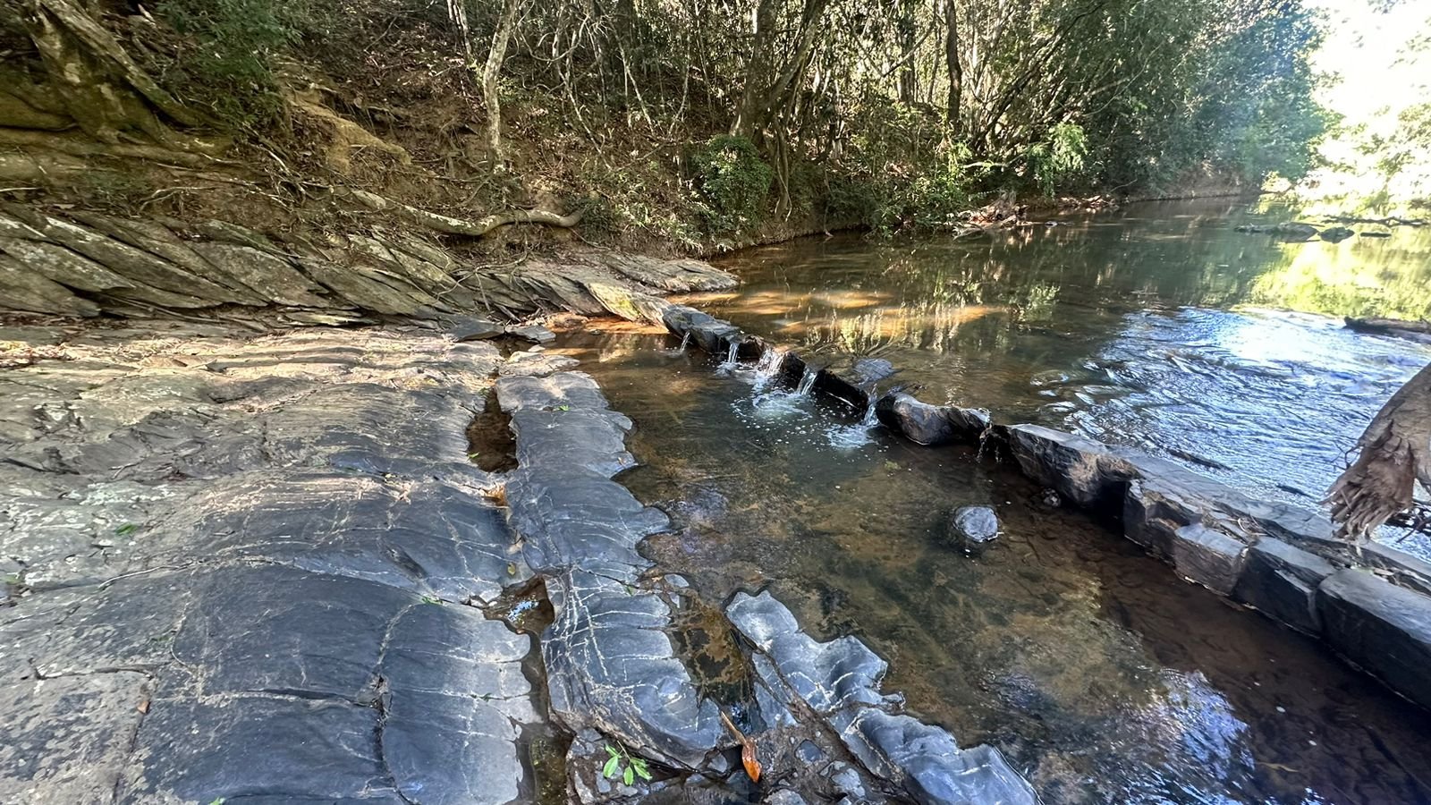 edc94c74-4aa1-4916-82a6-85f3ed6d2286