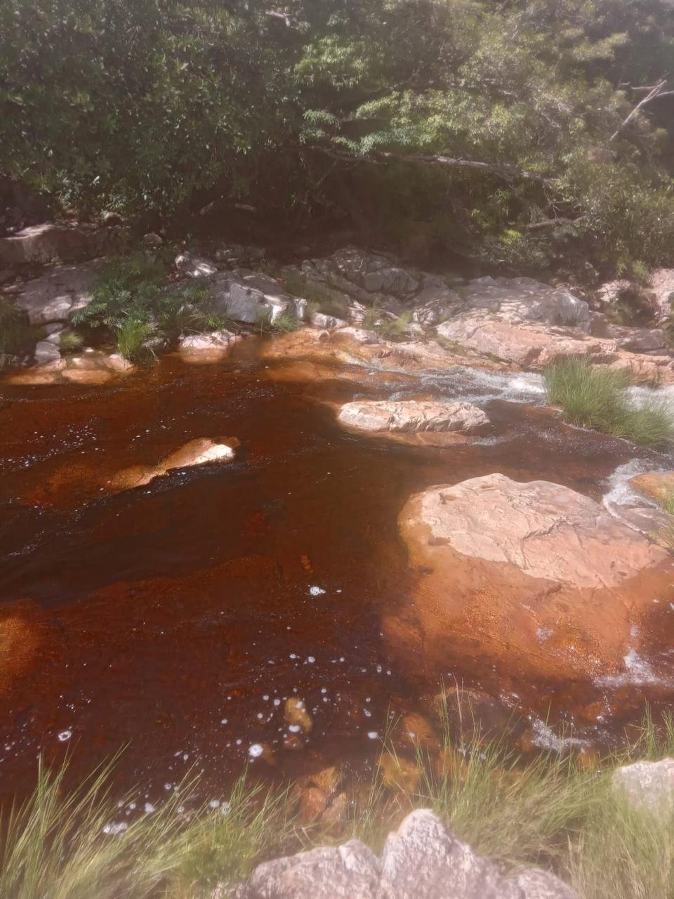 3225dacc-6bc2-4bc0-bfb5-d849d6694248