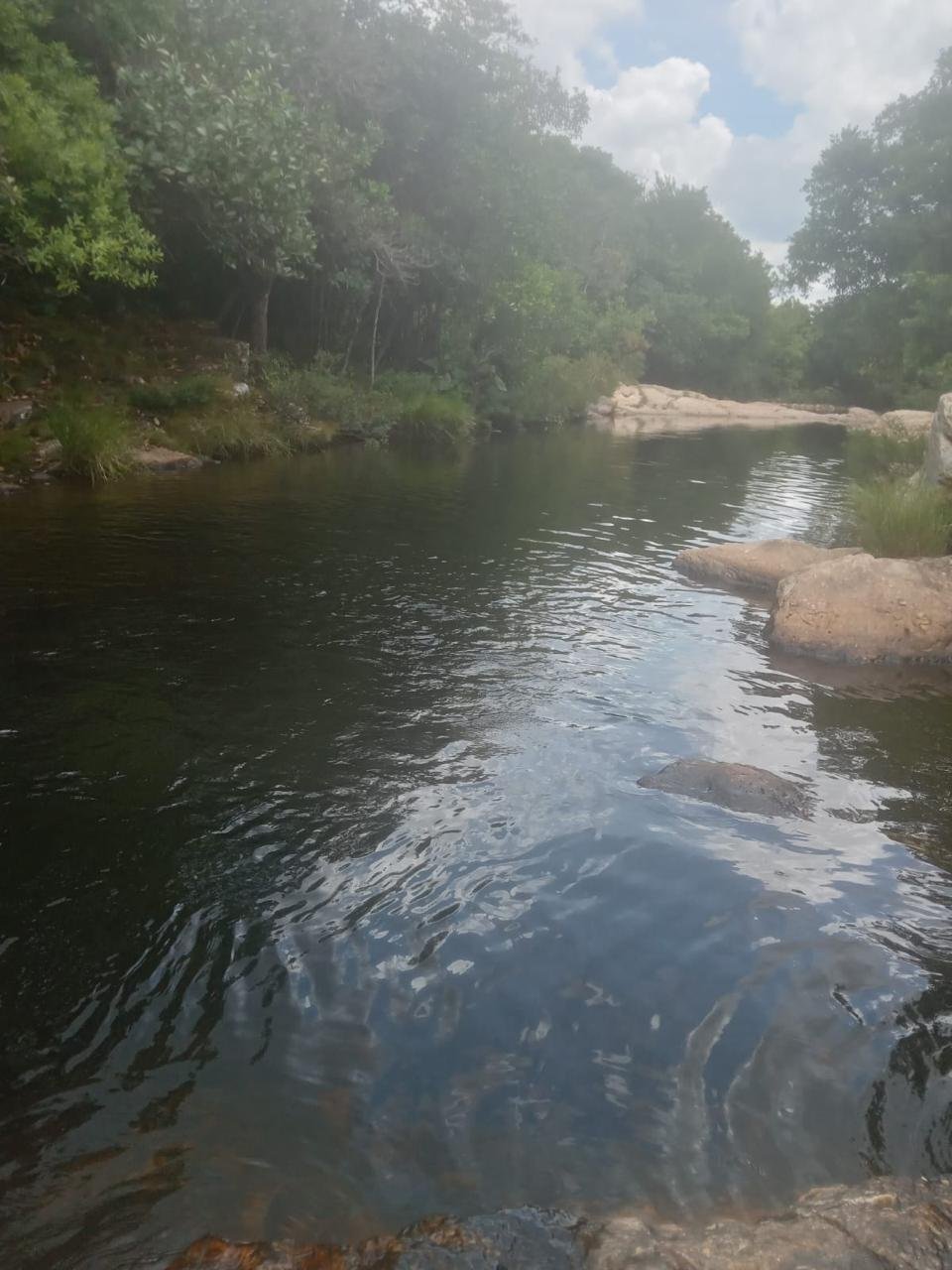 d7d3ea39-1e23-44c7-971b-c99afe26b1b5