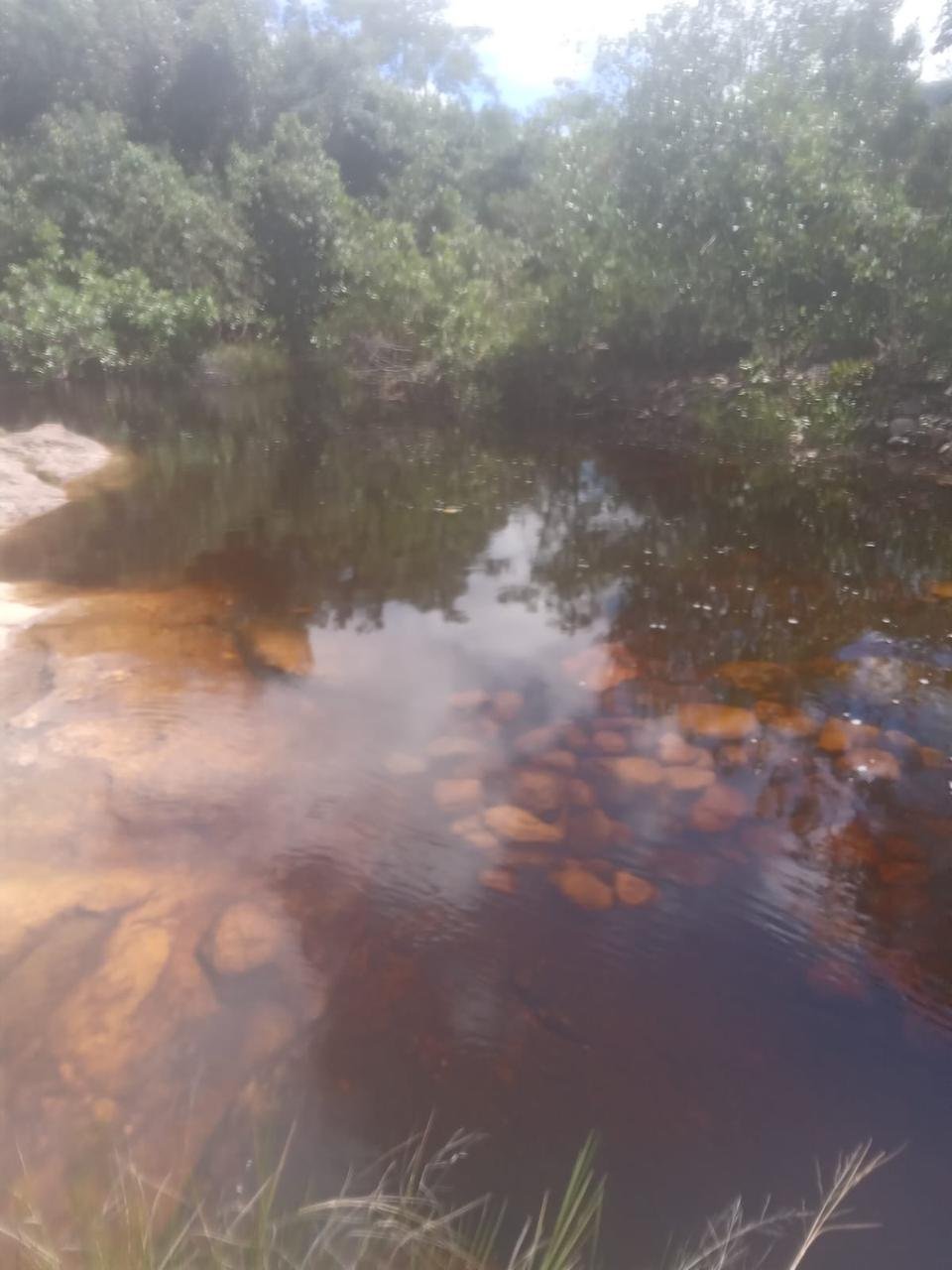 f28615b4-3a4e-4f8b-afd8-49348d8df559